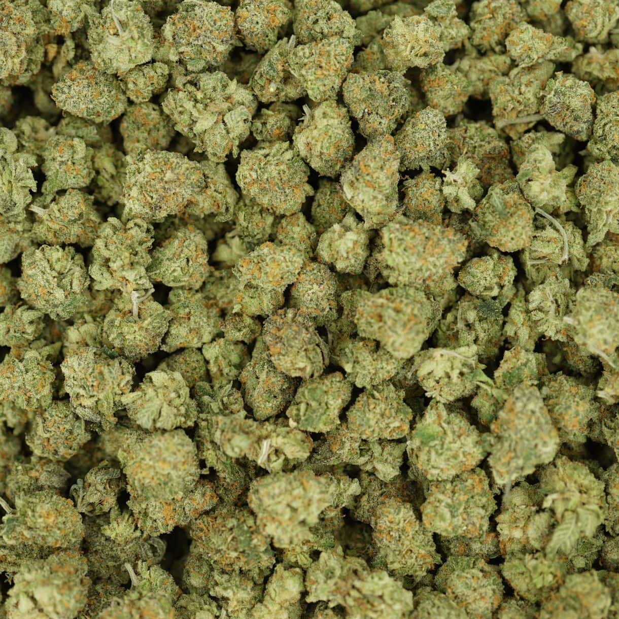 top view of cannabis buds with dense structure, frosty trichomes, and light green coloration