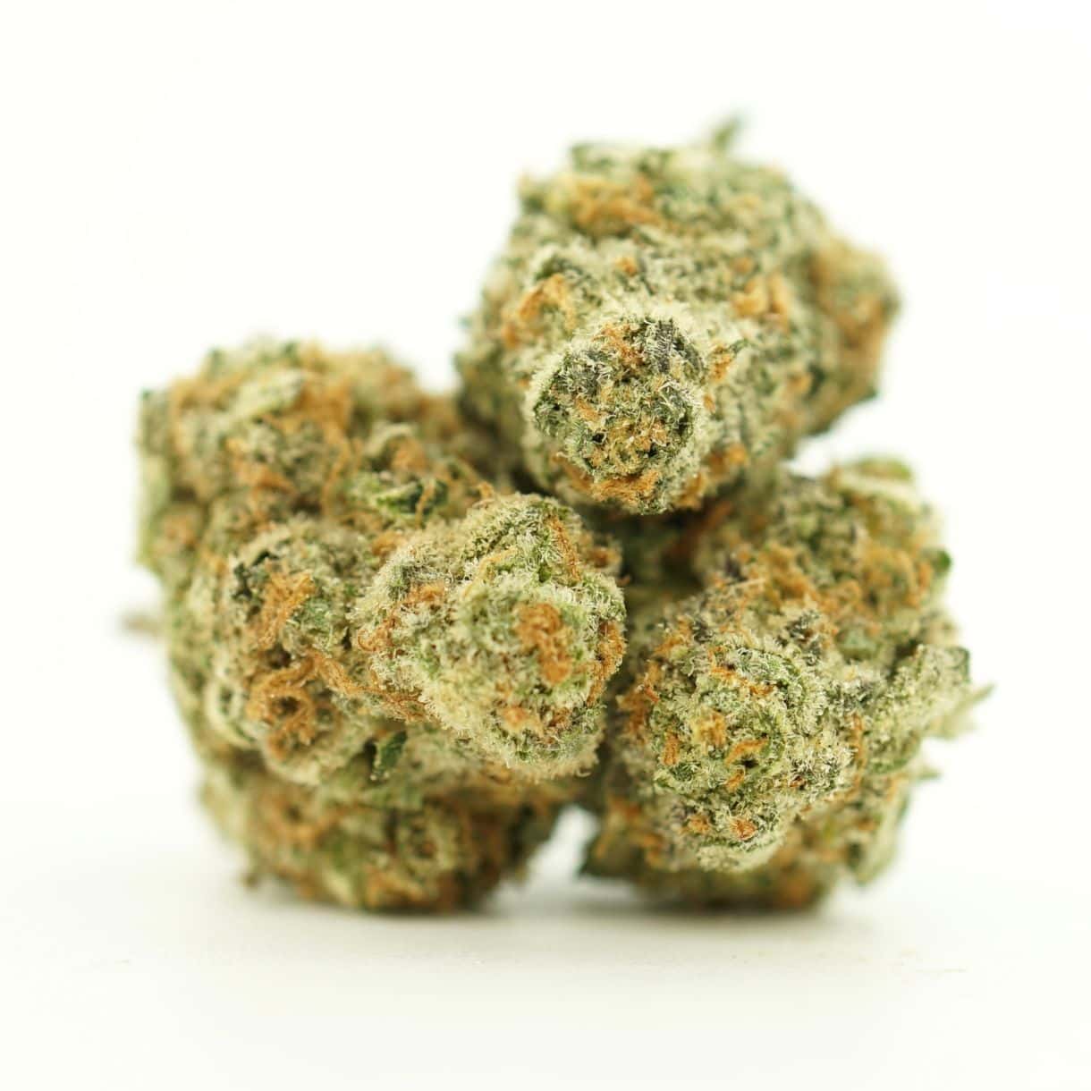 close-up image of cannabis bud with frosty trichomes on a crisp white background