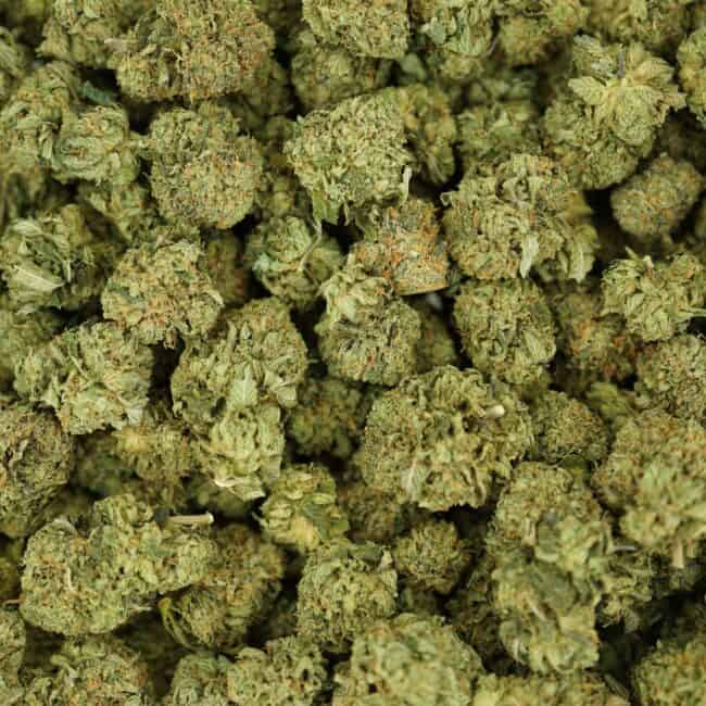 pp mothers milk full