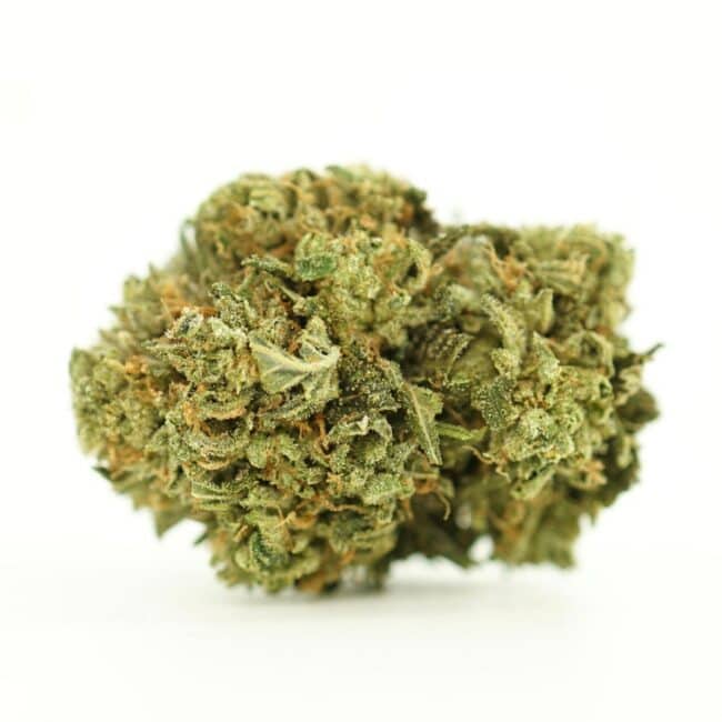 pp mothers milk main