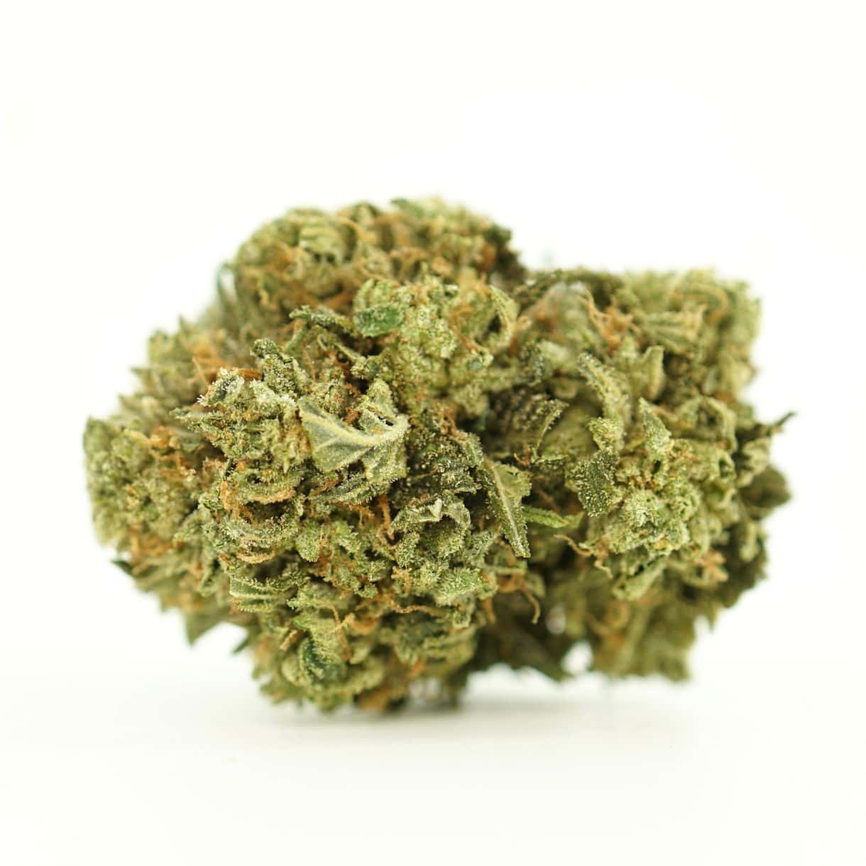 mothers milk close-up image of cannabis bud with frosty trichomes on a crisp white background