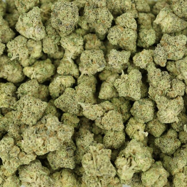 pp orange cruch full