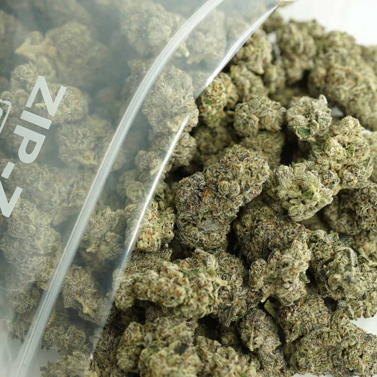 Source photograph: 1/2p – PETROL POTION BULK – INDICA –