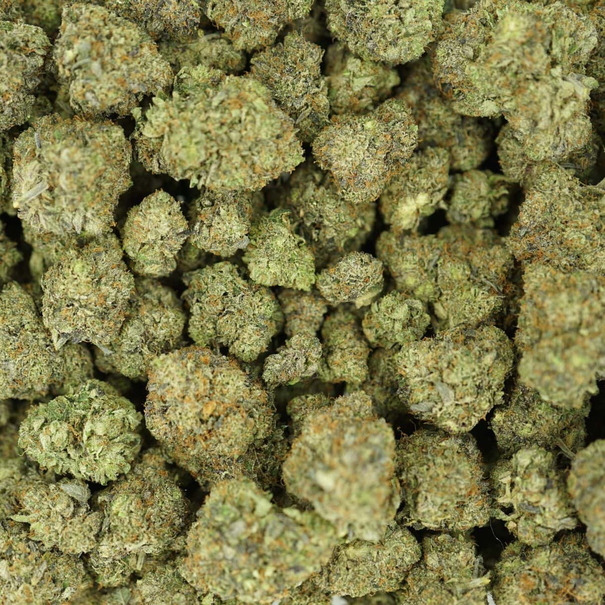 top view of cannabis buds with dense structure, frosty trichomes, and light green coloration