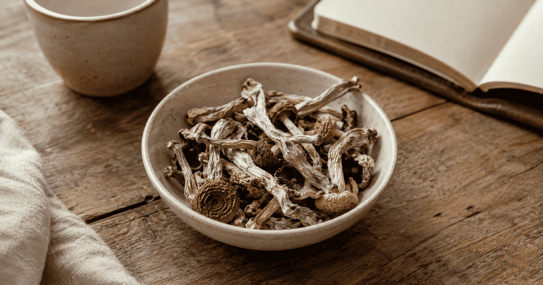 Bowl of dried mushrooms on a rustic wooden table beside an open book and ceramic mug, creating a natural and cozy setting.
