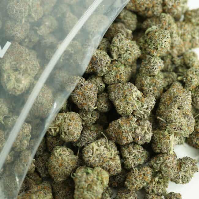 pp candy gas bulk