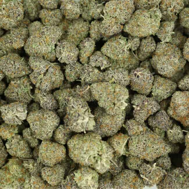 pp candy gas full