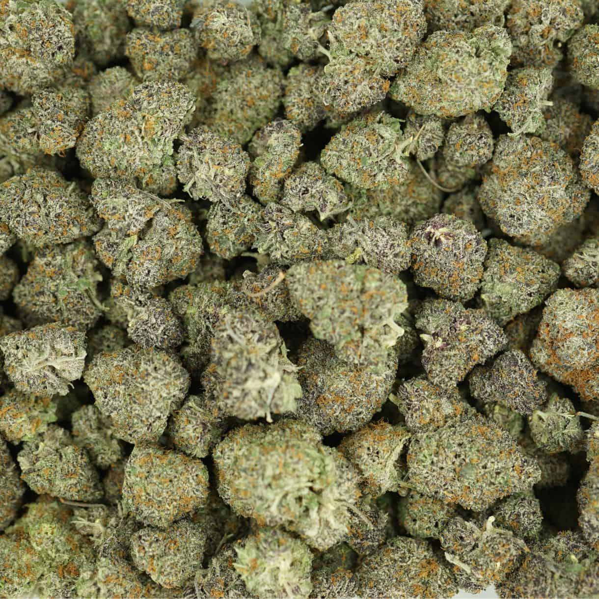 28gr - CANDY GAS - BALANCED HYBRID - (AAA) - Image 3