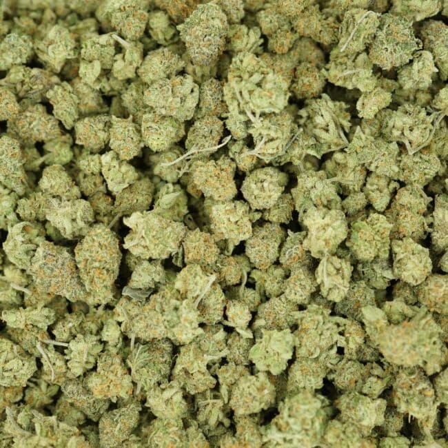 pp goudaberry smalls full