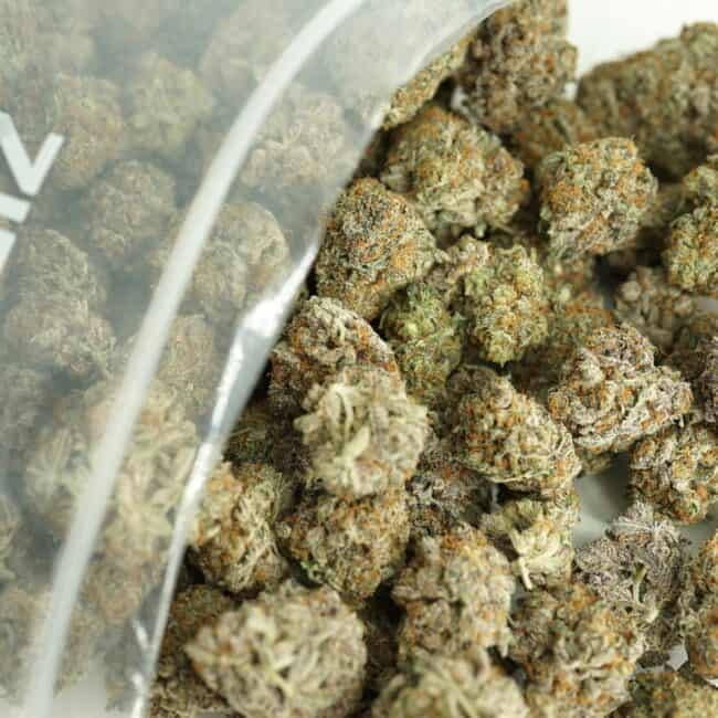 pp green crack bulk