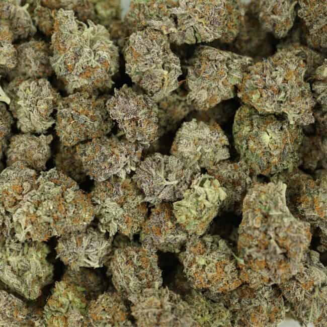 pp green crack full
