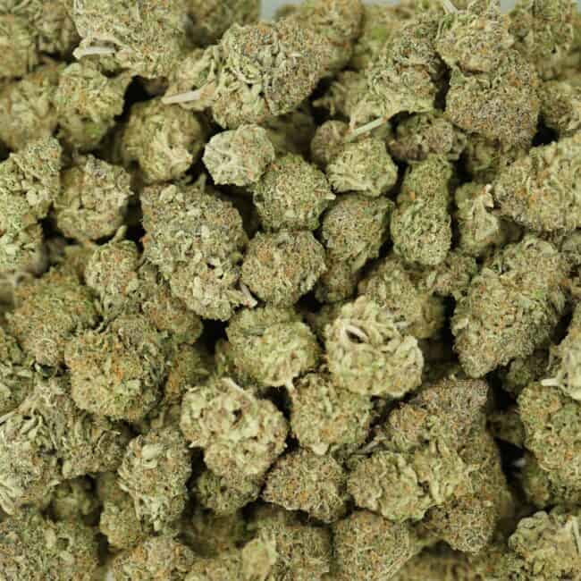 pp lemon pine full