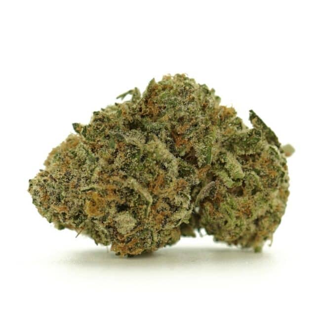 pp lemon pine main
