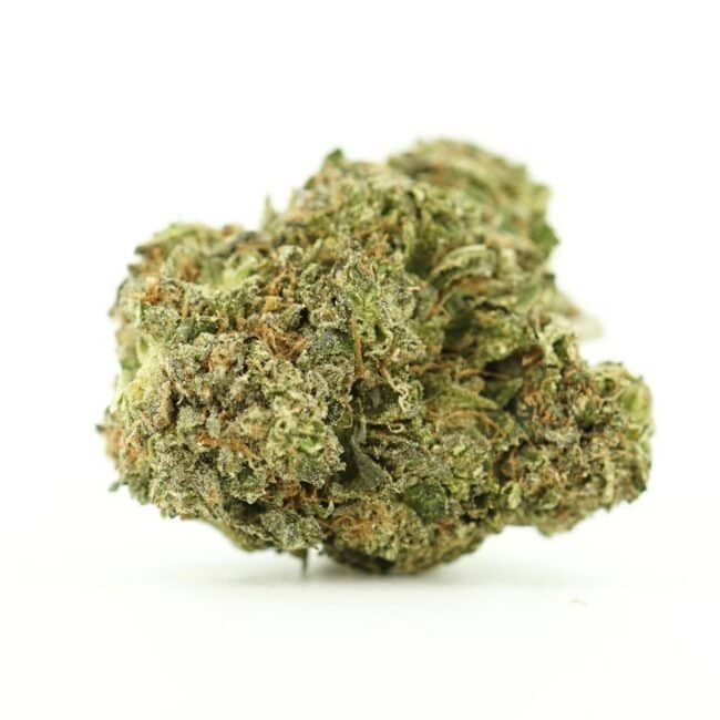 Image of rockstar tuna cannabis bud with frosty trichomes on a crisp white background