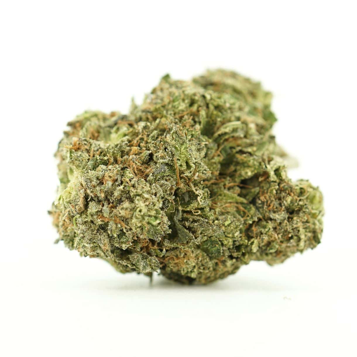 Source photograph: 28gr – ROCKSTAR TUNA – INDICA