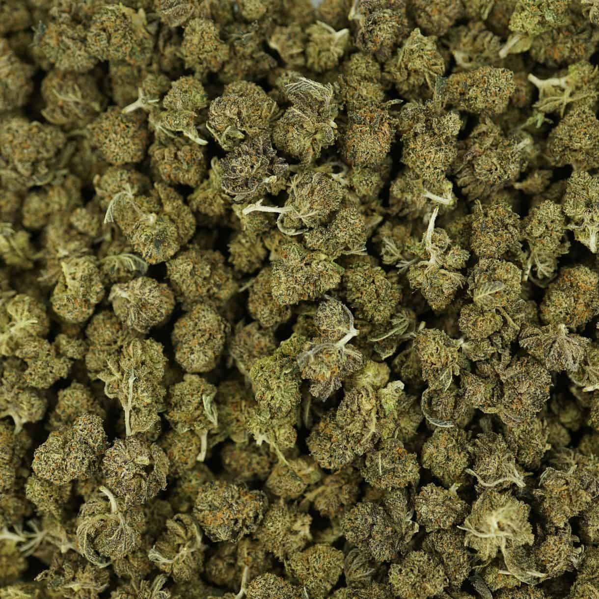 top view of runtz smalls cannabis buds with dense structure, frosty trichomes, and light green coloration