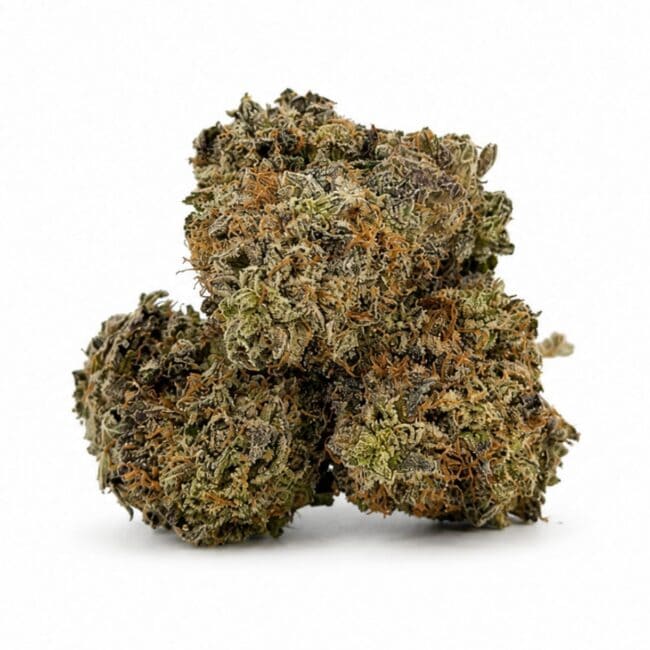 pp sour jamaican lime main