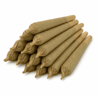 Cannabis pre-roll joints on a white background