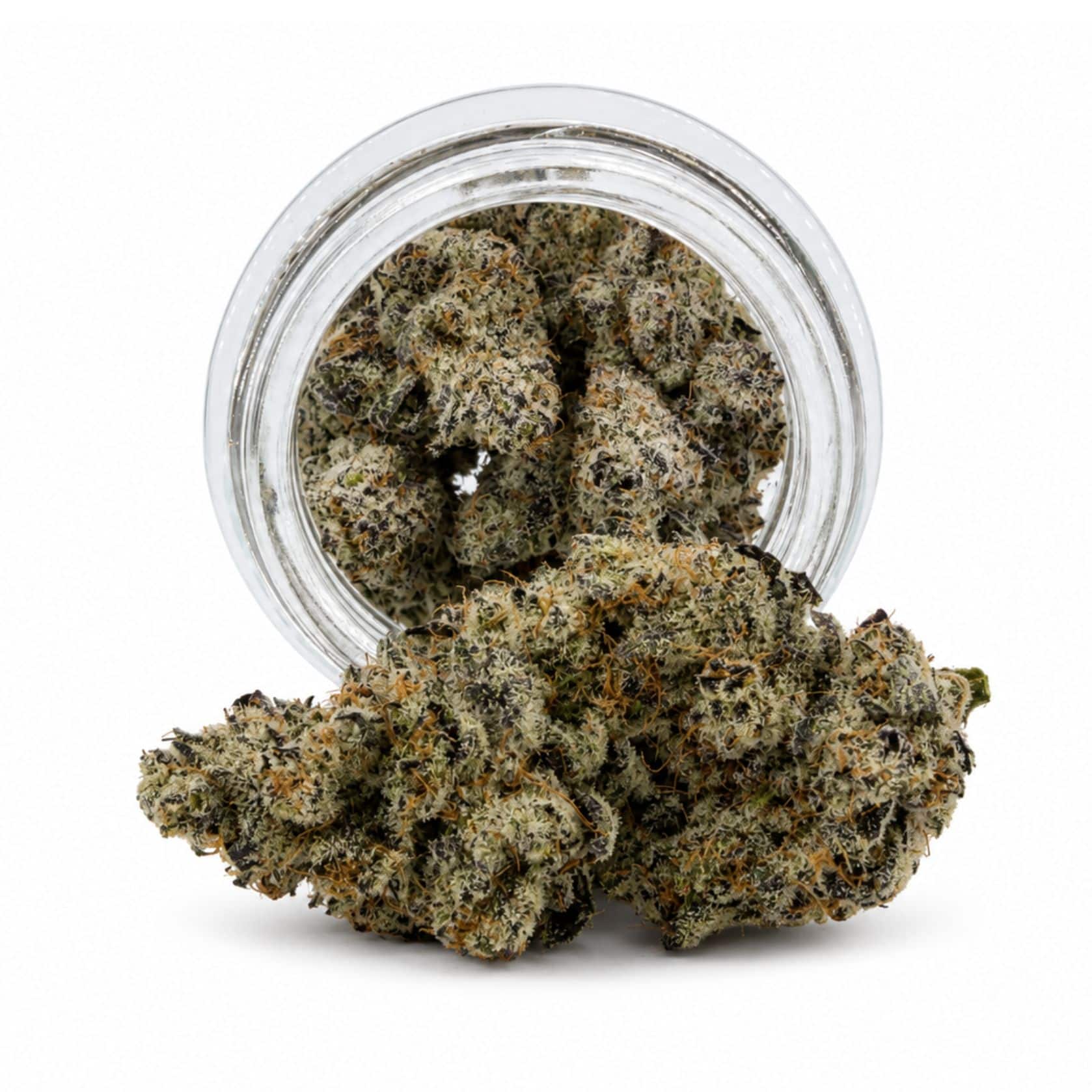 Source photograph: 7gr – CHERRY INFERNO PHENOTYPE #7 – BALANCED HYBRID –