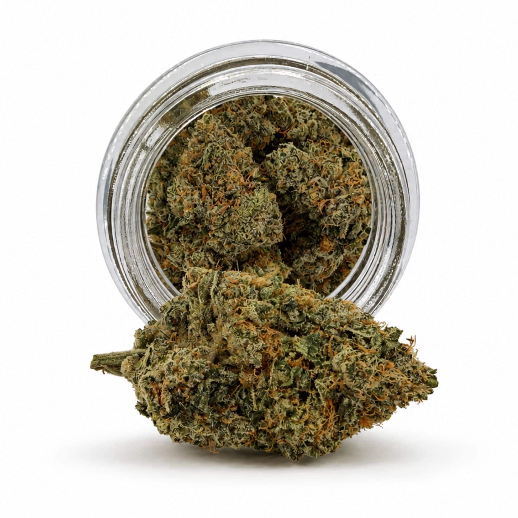Source photograph: 7gr – CHOCOLATINA – INDICA –