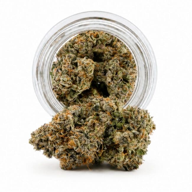 Dense cannabis flower with frosty trichomes in foreground, glass jar softly blurred on a crisp white background
