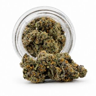 Dense cannabis flower with frosty trichomes in foreground, glass jar softly blurred on a crisp white background