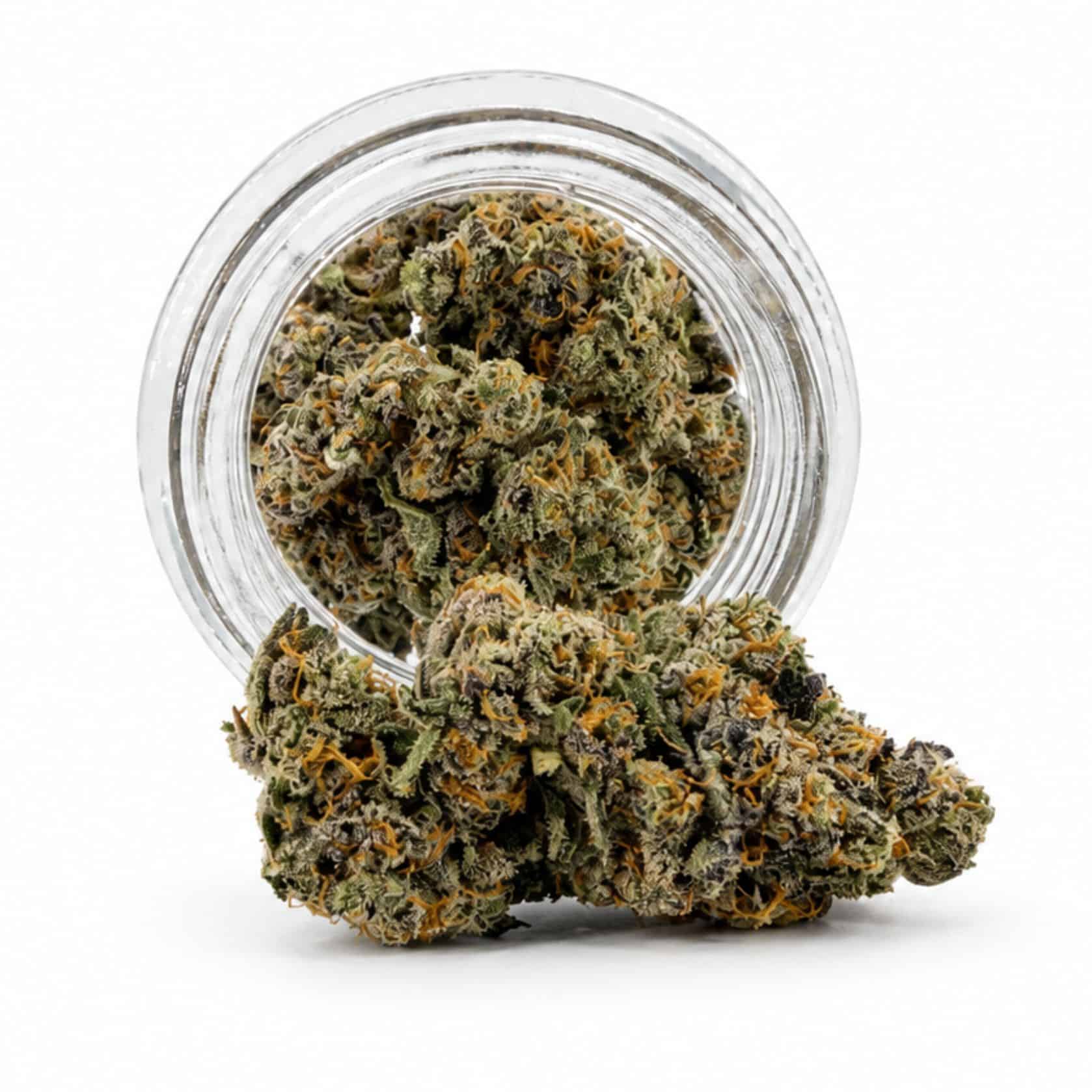 Source photograph: 7gr – PERMANENT MARKER X GAS DRIP – INDICA –