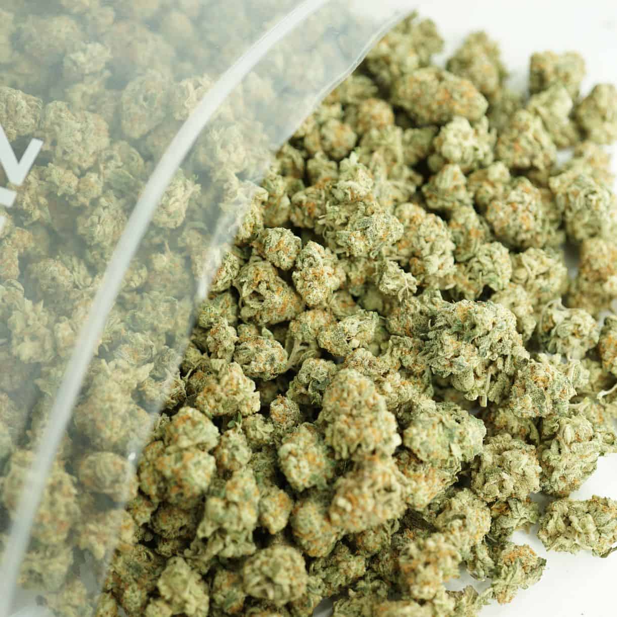 close-up image of bob cannabis buds spilling out of a clear ZIP-ZAG plastic bag onto a white surface, showing dense green nugs with visible trichomes and orange hairs.