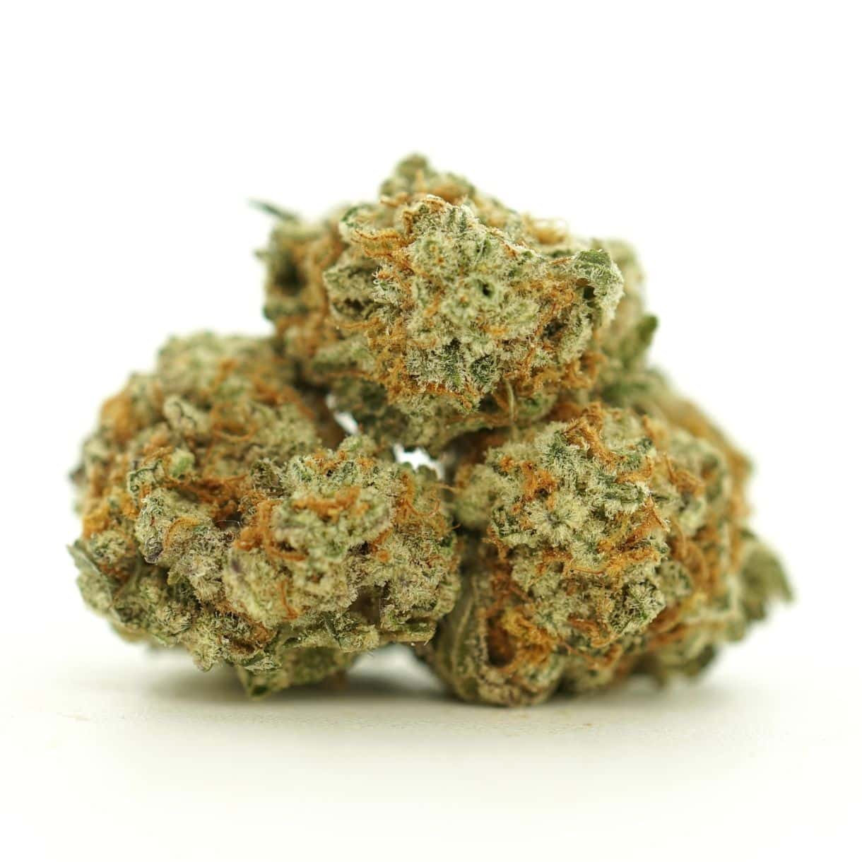 Source photograph: 28gr – B.O.B. – BALANCED HYBRID –