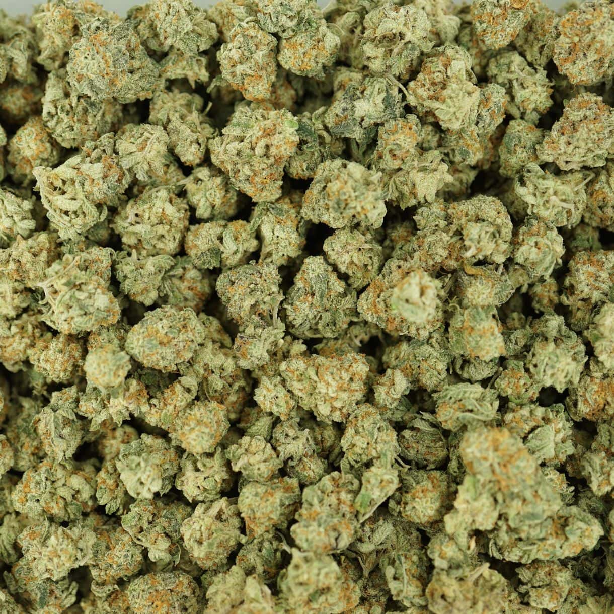iced wine smalls top view of cannabis buds with dense structure, frosty trichomes, and light green coloration