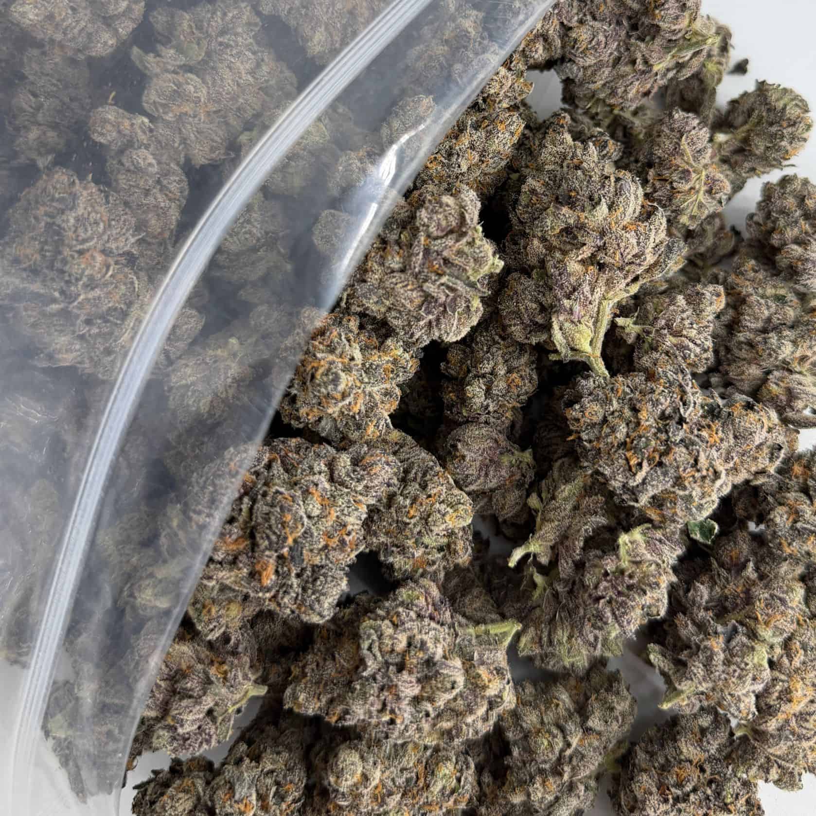 Source photograph: 1/2p – KEROSENE BULK – SATIVA –