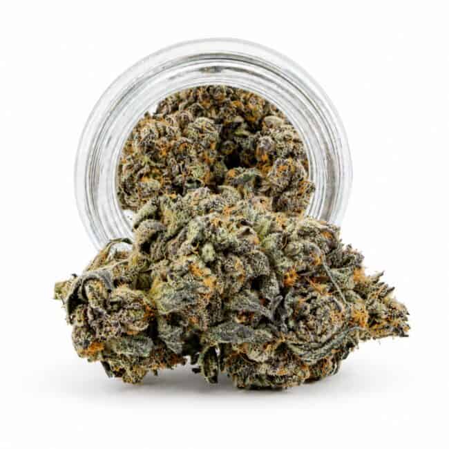 Dense cannabis flower with frosty trichomes in foreground, glass jar softly blurred on a crisp white background