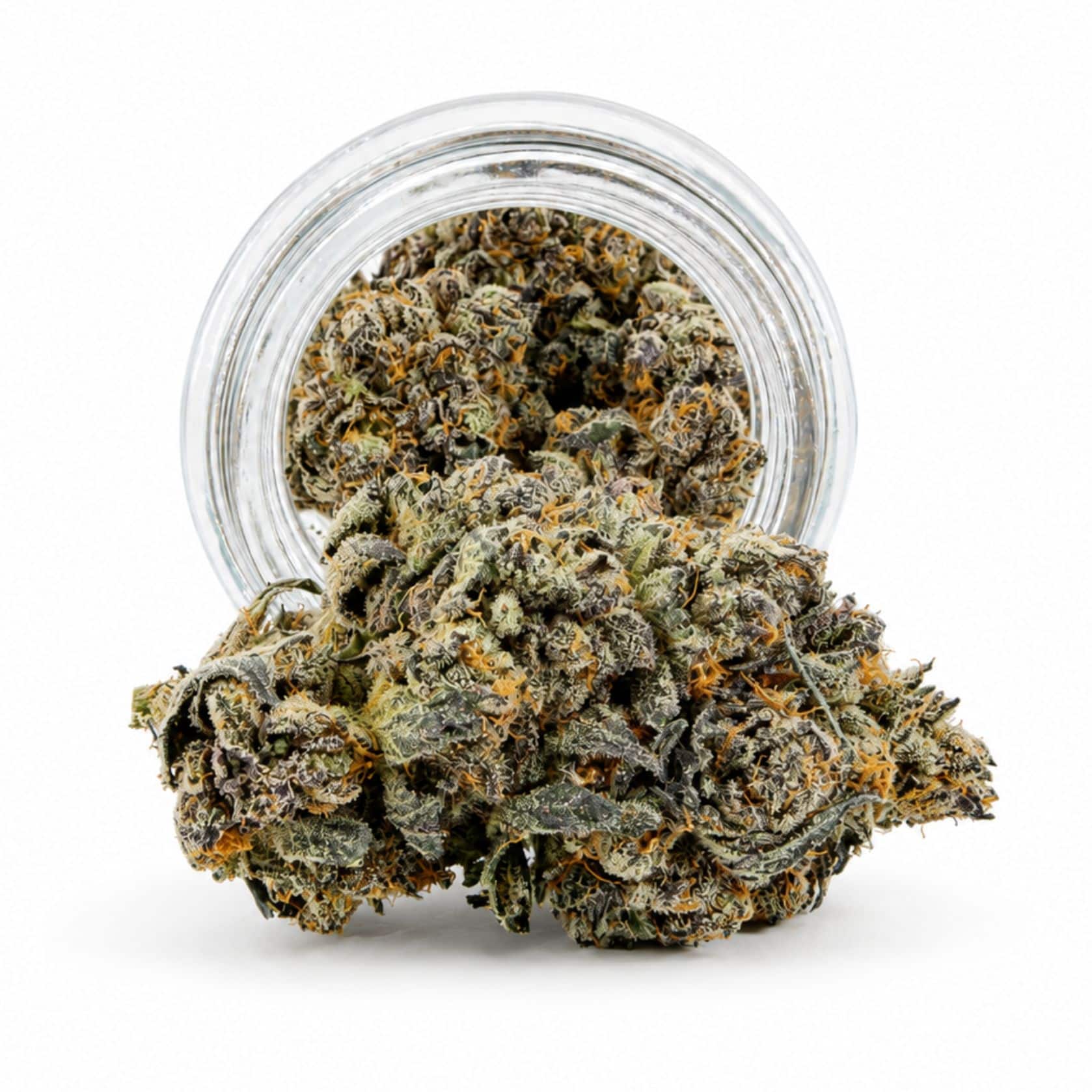 Source photograph: 7gr – KEROSENE – SATIVA –