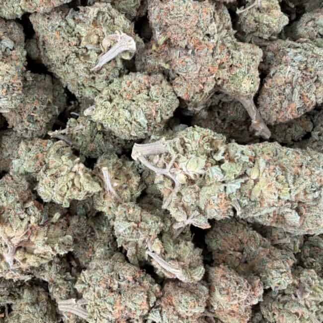 pp lemon sour diesel full