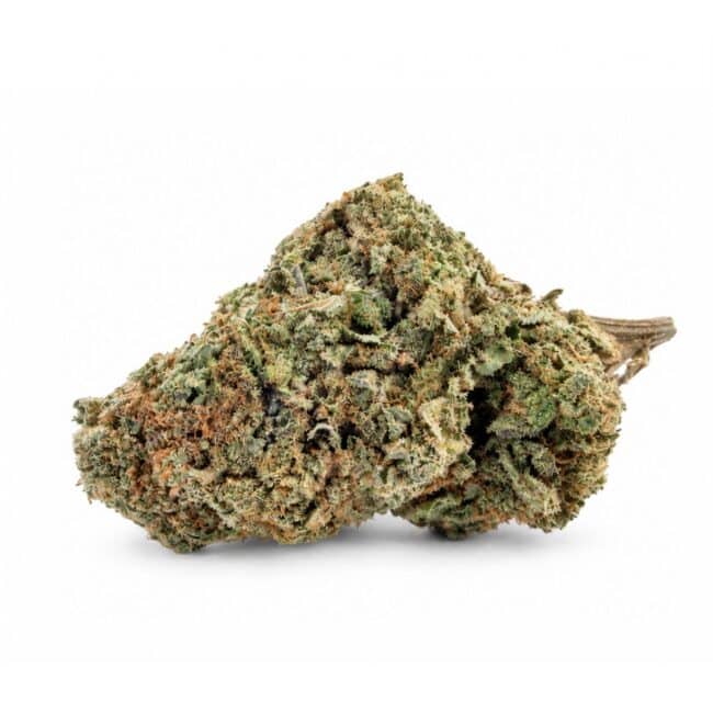 pp lemon sour diesel main