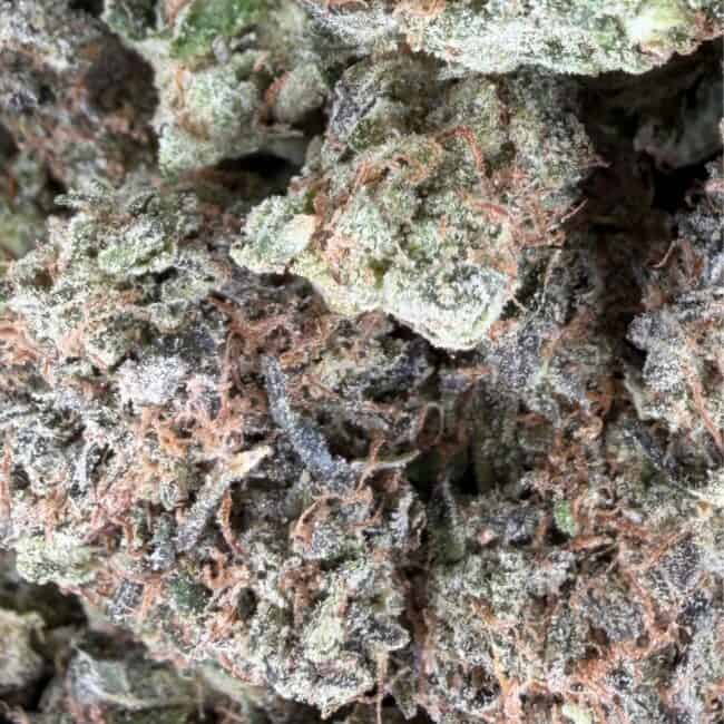 pp pink death star smalls 2