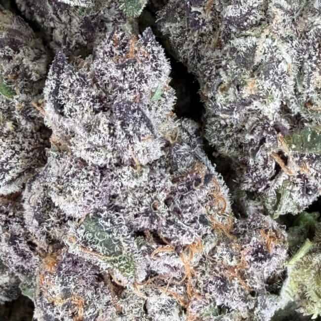 pp platinum truffles smalls 2