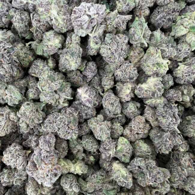 pp platinum truffles smalls full