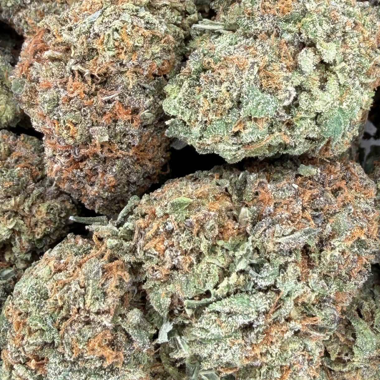 28gr - LARRY BIRD KUSH - BALANCED HYBRID - (AAA) - Image 2