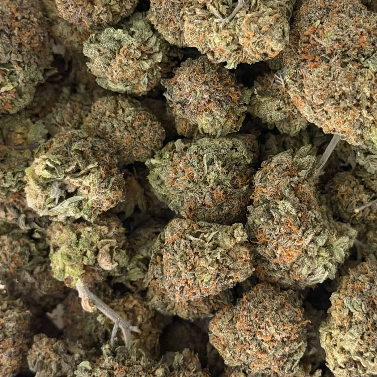 28gr - LARRY BIRD KUSH - BALANCED HYBRID - (AAA) - Image 3