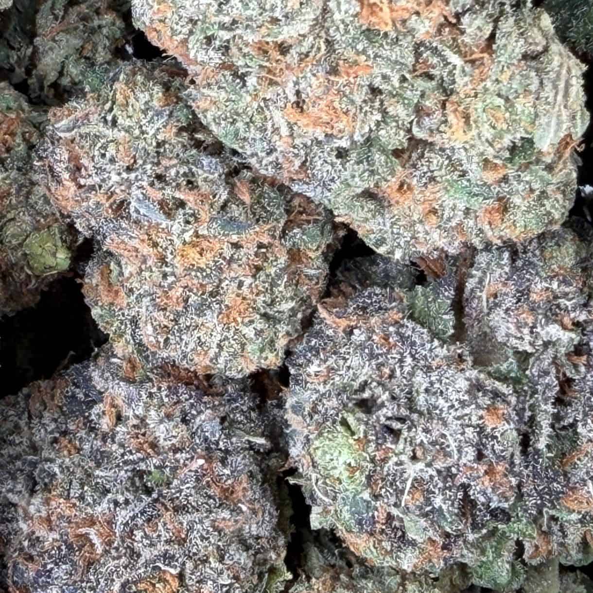 28gr - MONKEY GLUE - INDICA - (AAA) - Image 2