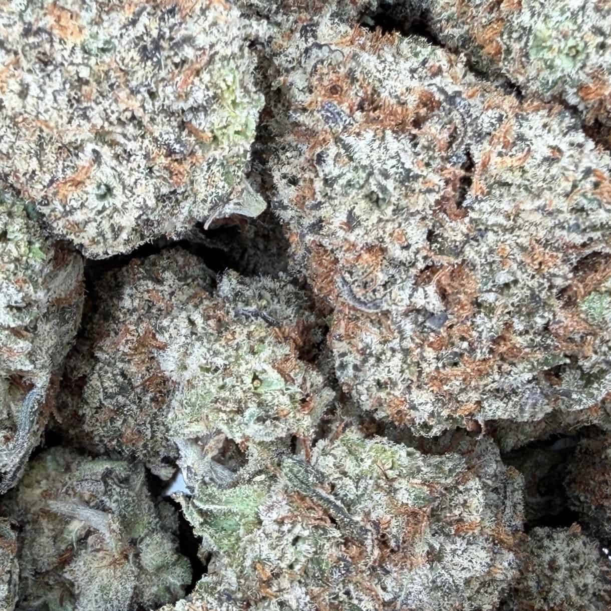 28gr - SUBZERO - BALANCED HYBRID - (AAA) - Image 2