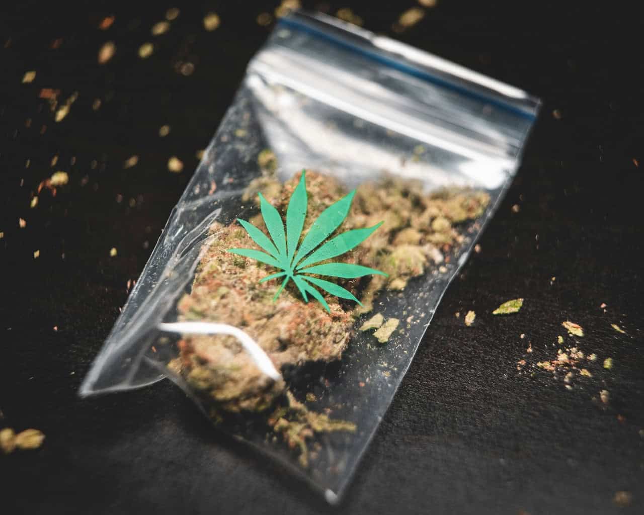 Hash Online Canada