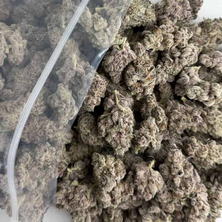 close-up image of cannabis buds spilling out of a clear ZIP-ZAG plastic bag onto a white surface, showing dense green nugs with visible trichomes and orange hairs.