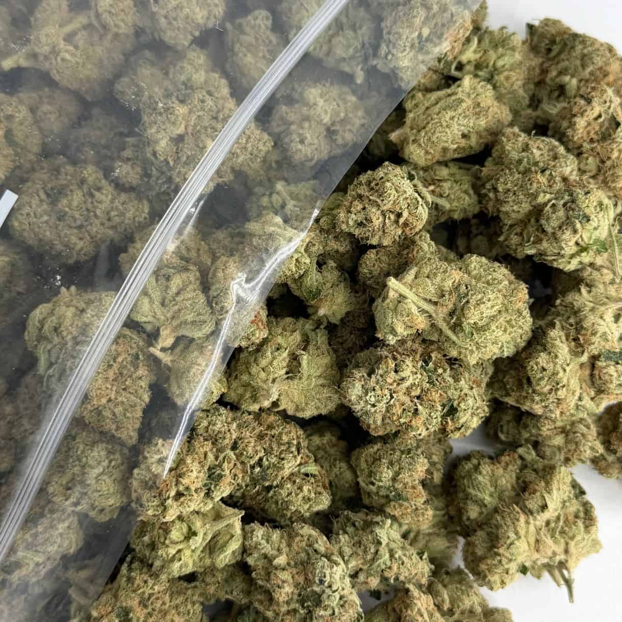 Source photograph: 1/2p – CHOCOLATINA BULK – INDICA –