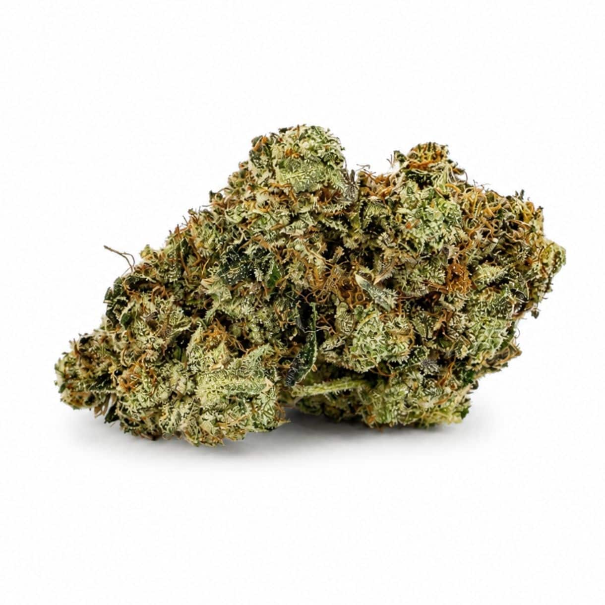 Source photograph: 28gr – GUCCI PINK – INDICA –