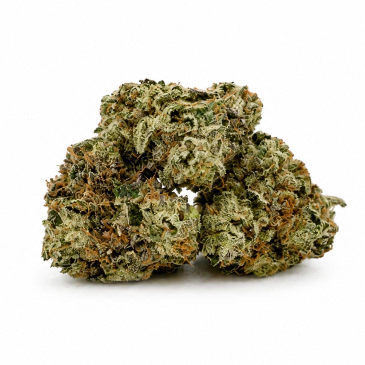 Source photograph: 28gr – GUCCI PINK SMALLS – INDICA –