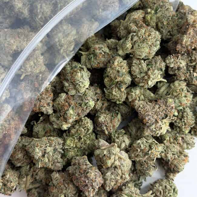 pp island pink kush bulk