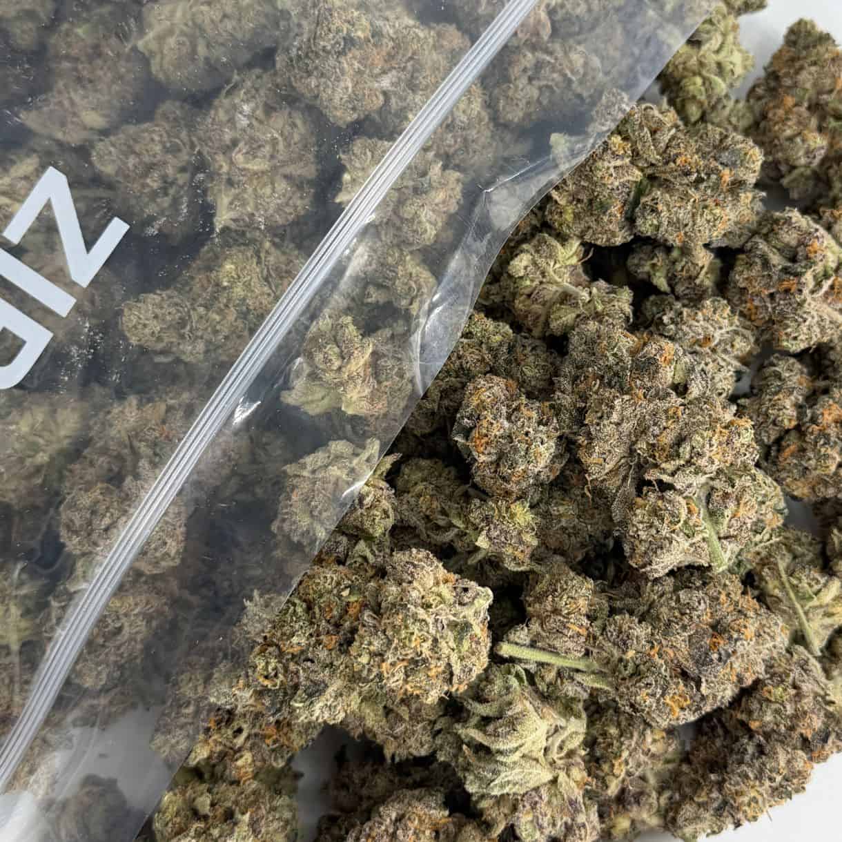 Source photograph: 1/2p – PERMANENT MARKER X GAS DRIP BULK – INDICA –