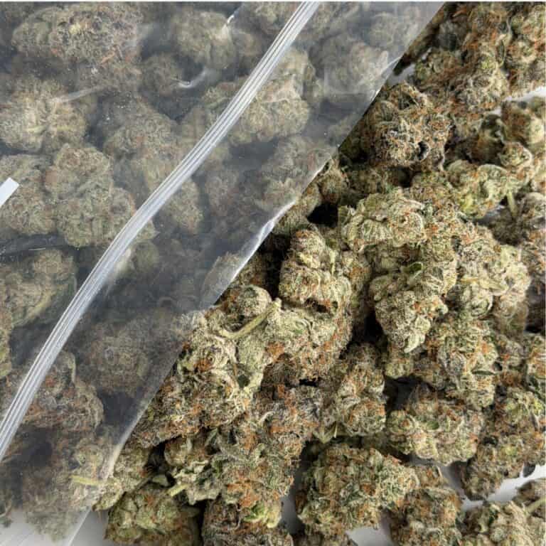 close-up image of cannabis buds spilling out of a clear ZIP-ZAG plastic bag onto a white surface, showing dense green nugs with visible trichomes and orange hairs.
